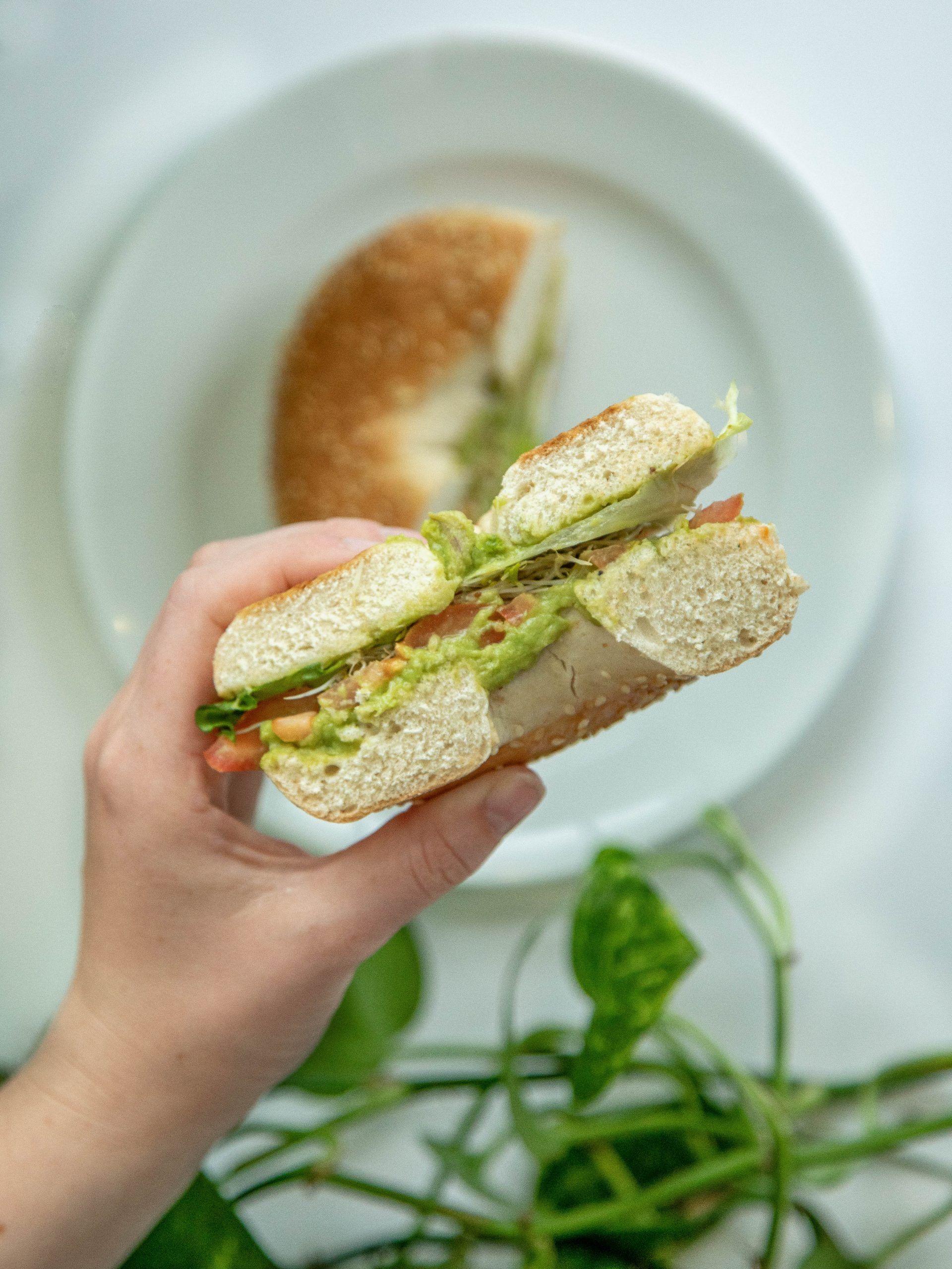 CoGro Sandwich